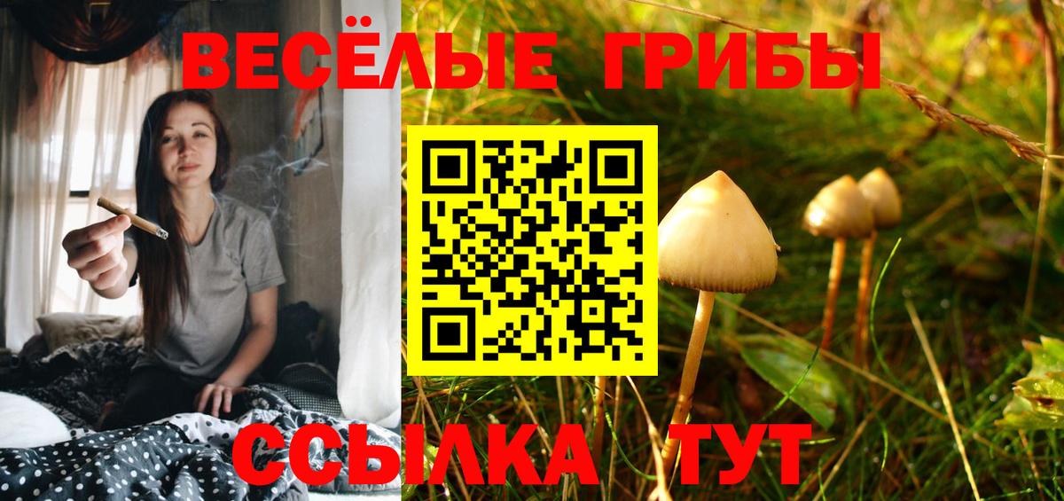 Коркино  Галлюциногенные грибы Psilocybine cubensis  Вход с VPN  Псилоцибиновые грибы Psilocybine cubensis 